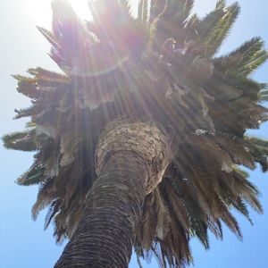 Meet your Posher, Shelby